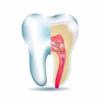 Endodontia Mobile